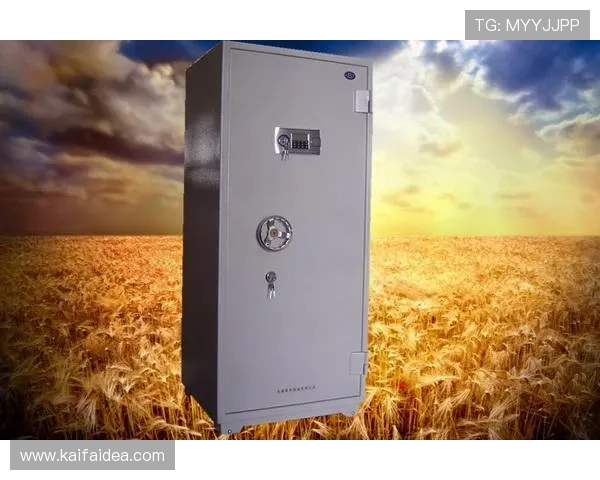 掌握K8凯发app网址的多种登录方式，提升您的使用效率与安全保障